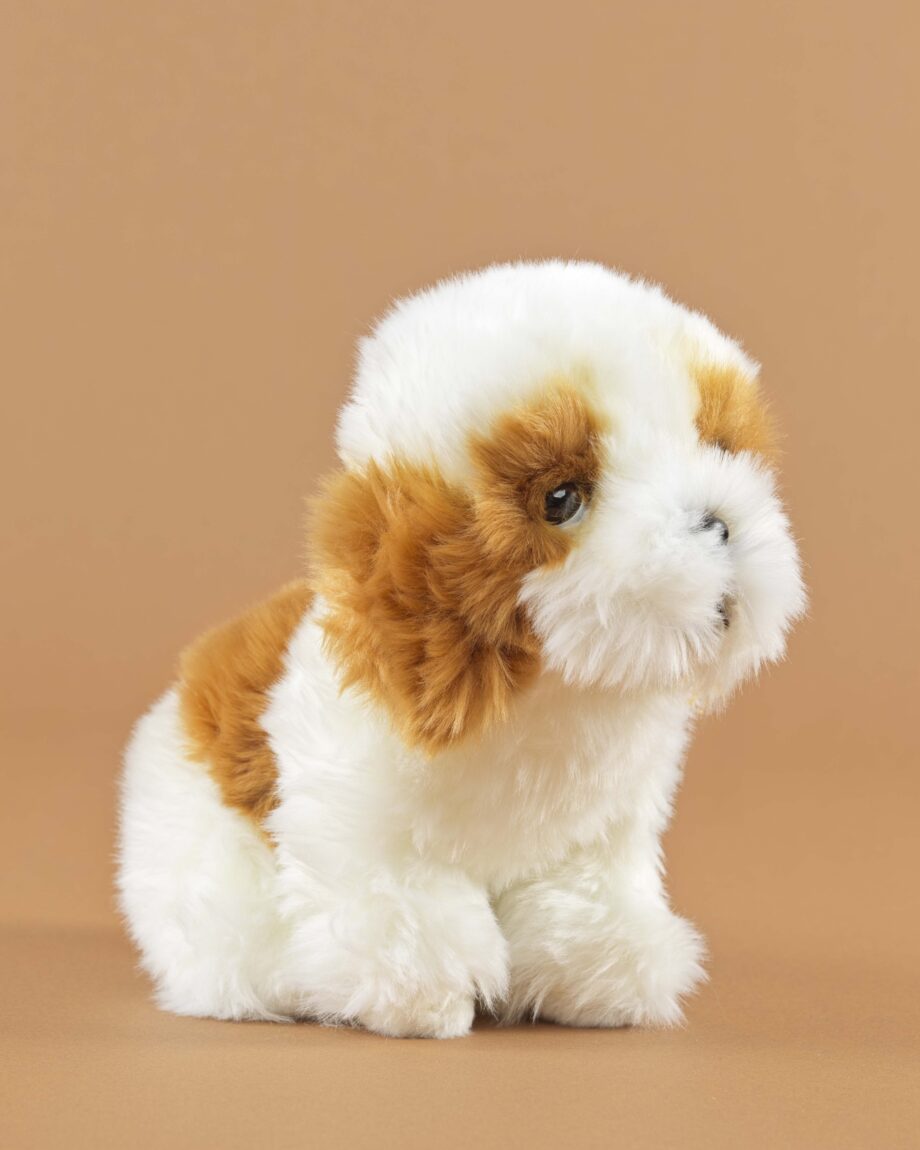 Shih Tzu red and white soft toy dog - send a cuddly