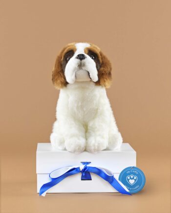 St. Bernard soft toy dog - send a cuddly