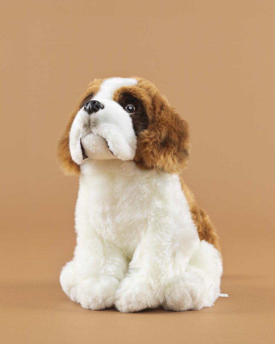 St. Bernard soft toy dog - send a cuddly