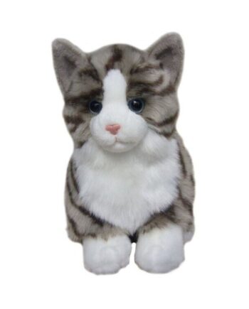 Tabby cat soft toy - Send a Cuddly