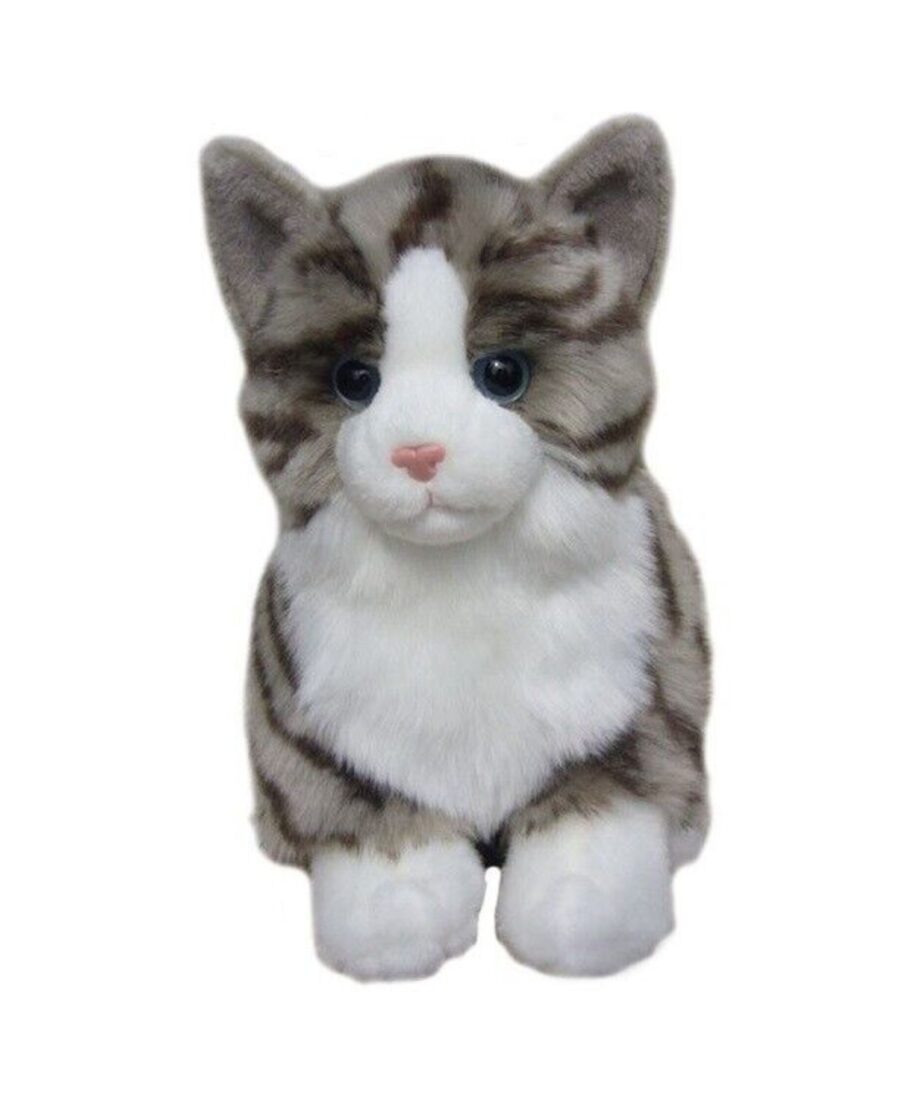 Tabby cat soft toy - Send a Cuddly