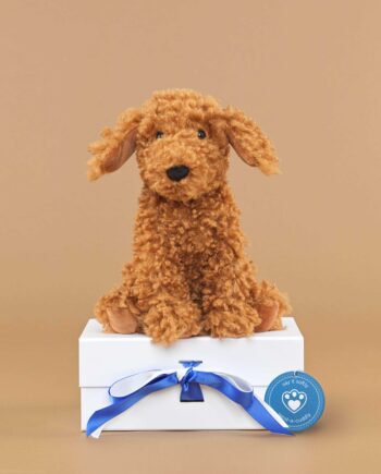 Cooper Doodle soft toy dog by Jellycat - send a cuddly