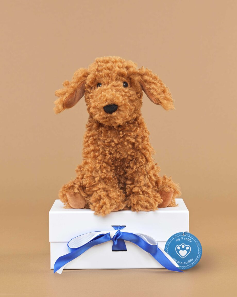 Cooper Doodle soft toy dog by Jellycat - send a cuddly