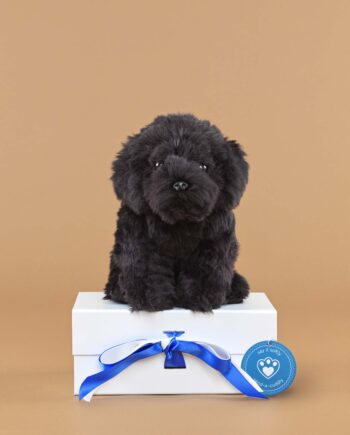 Labradoodle black soft toy dog - send a cuddly