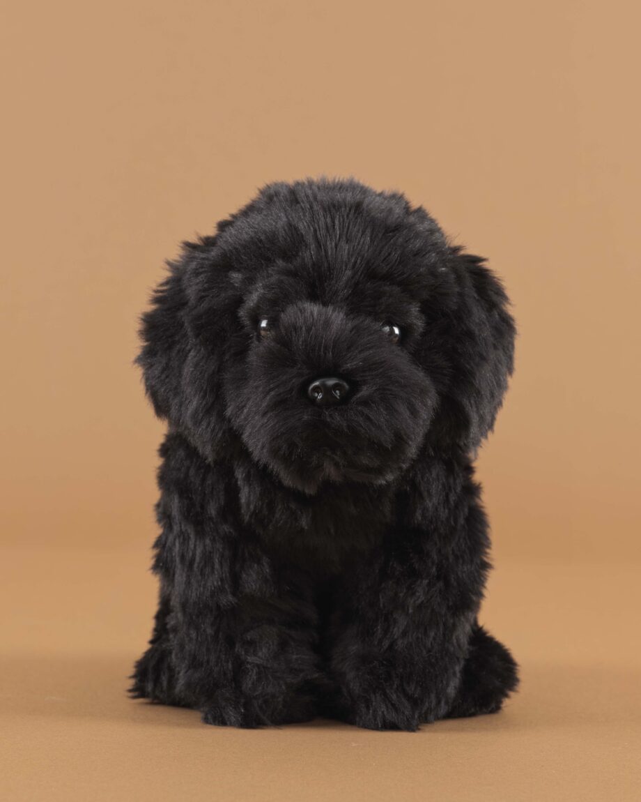 Labradoodle black soft toy dog - send a cuddly