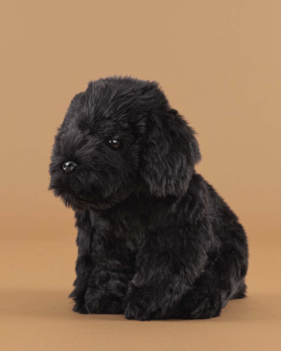 Labradoodle black soft toy dog - send a cuddly