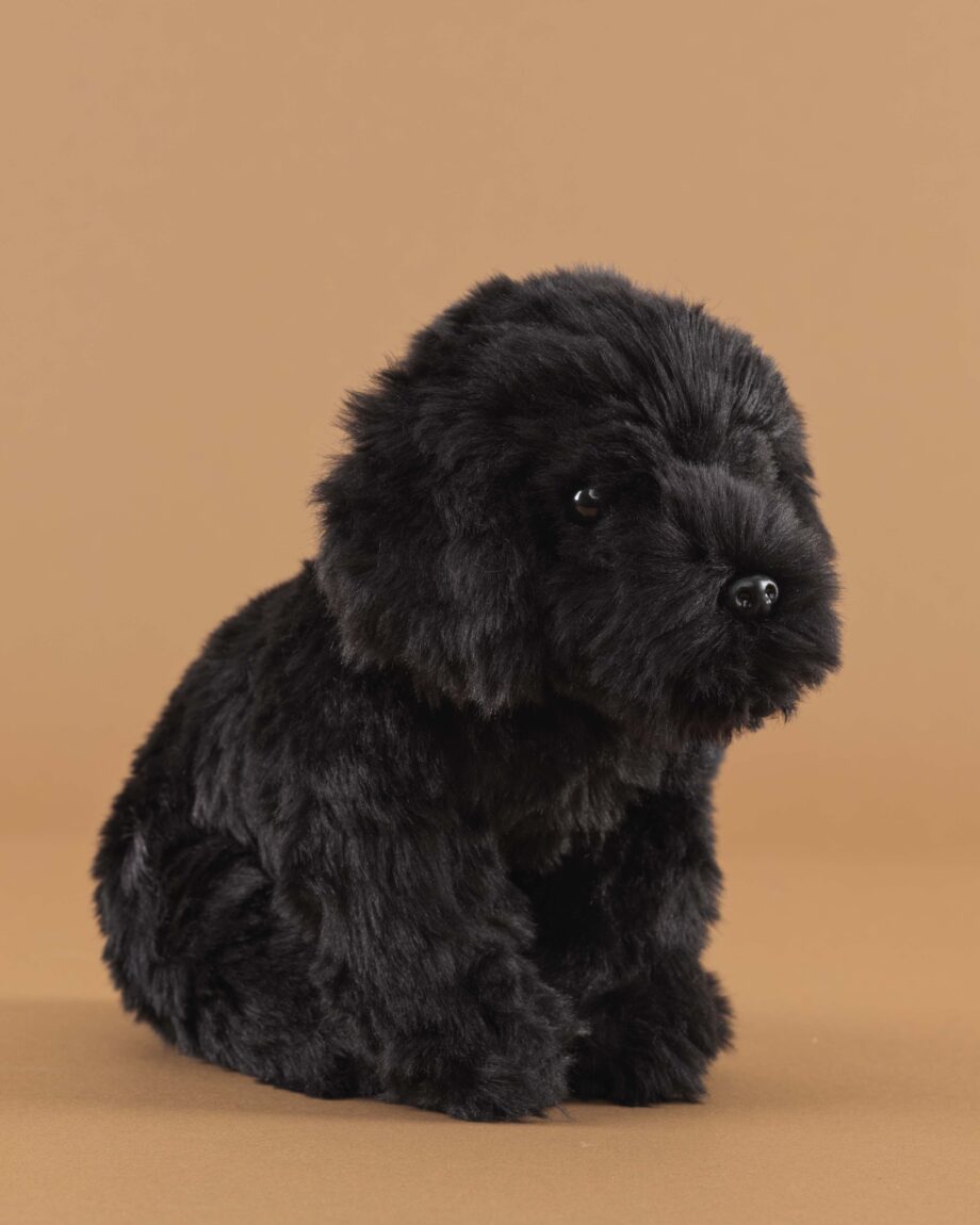 Labradoodle black soft toy dog - send a cuddly