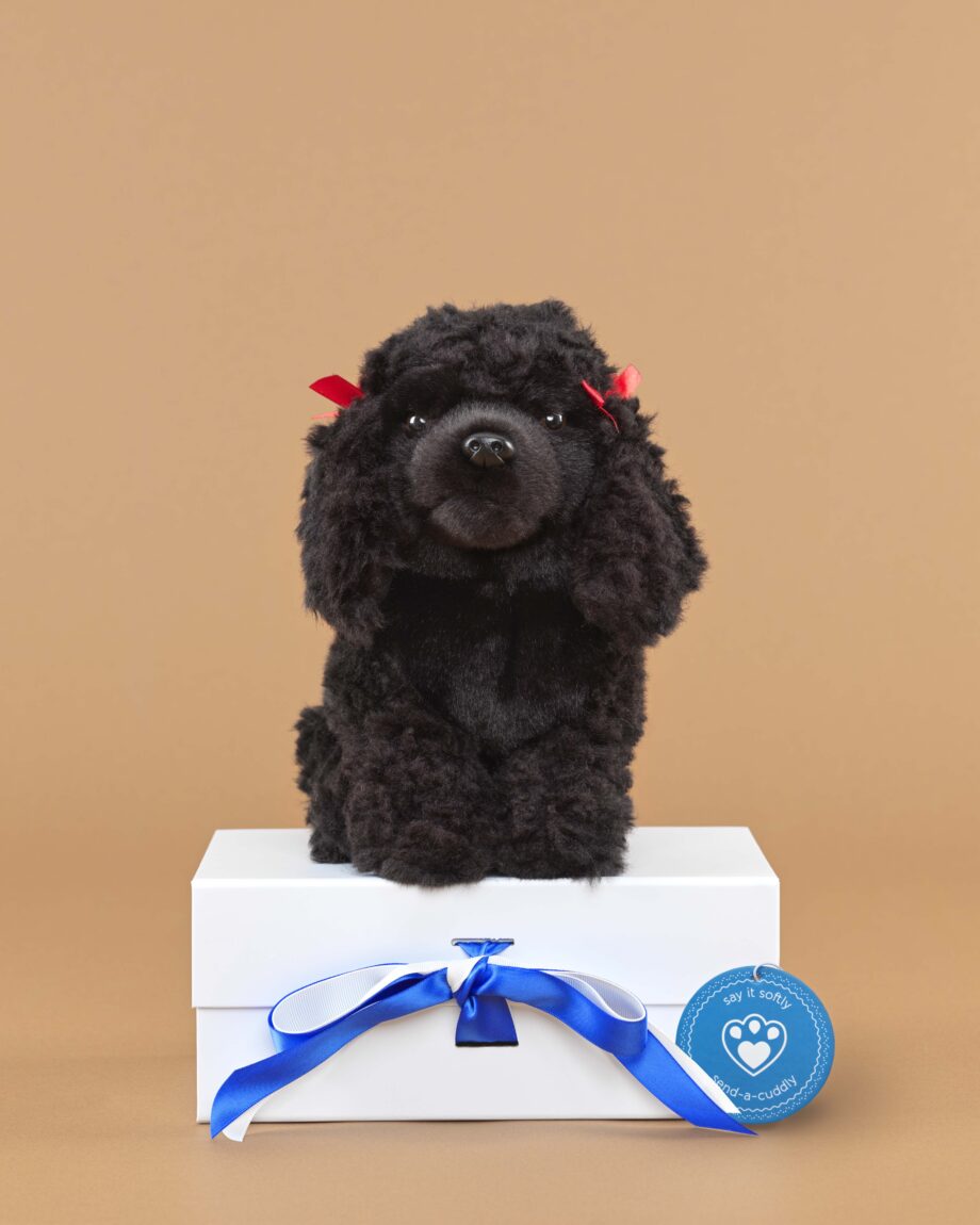 Poodle black soft toy dog - send a cuddly