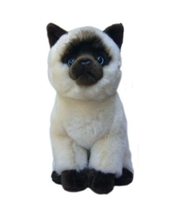 Siamese cat soft toy -Send a Cuddly