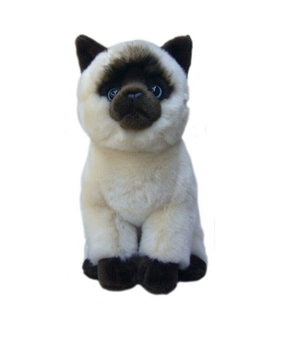 Siamese cat soft toy -Send a Cuddly