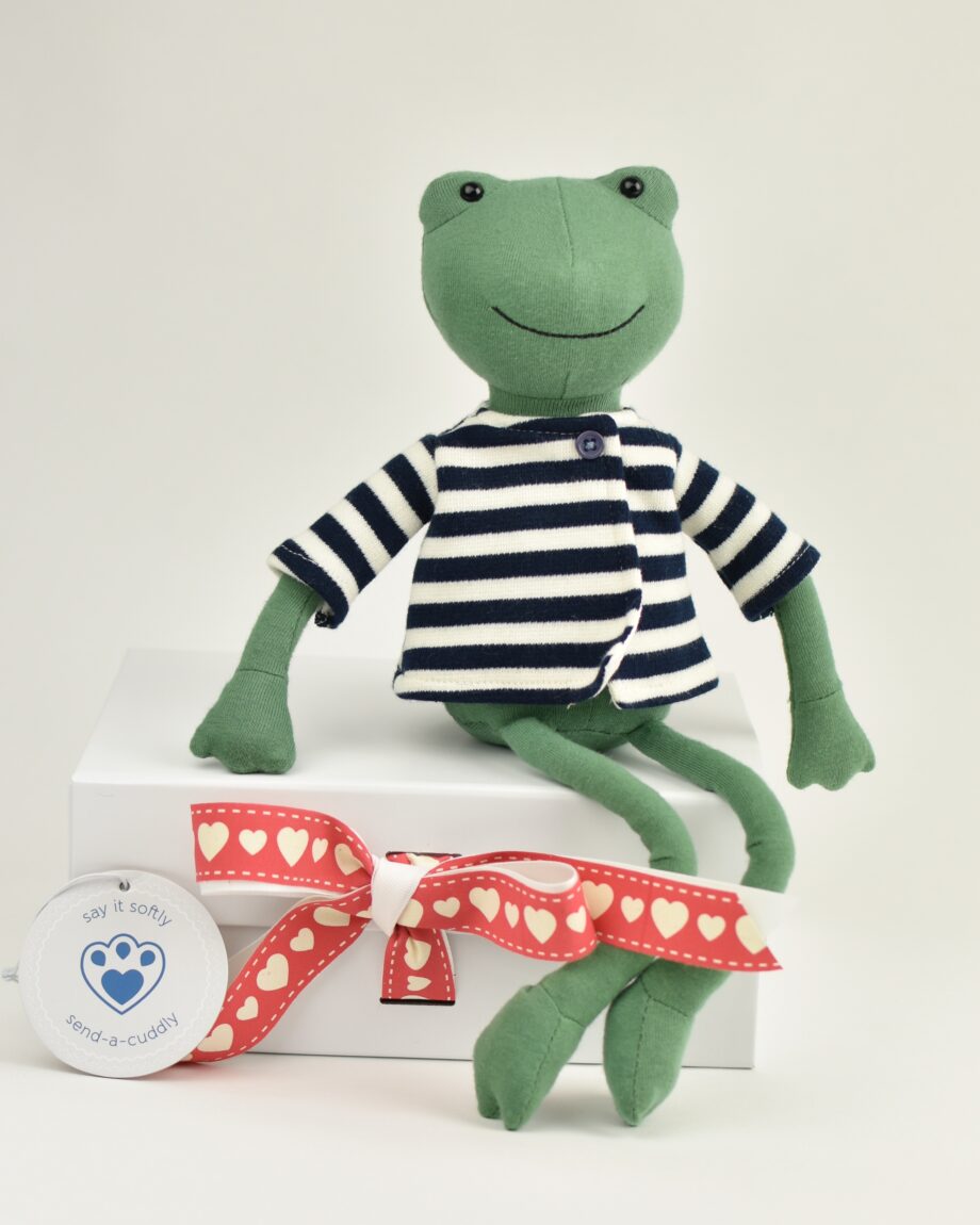 Valentine's Frog Gift