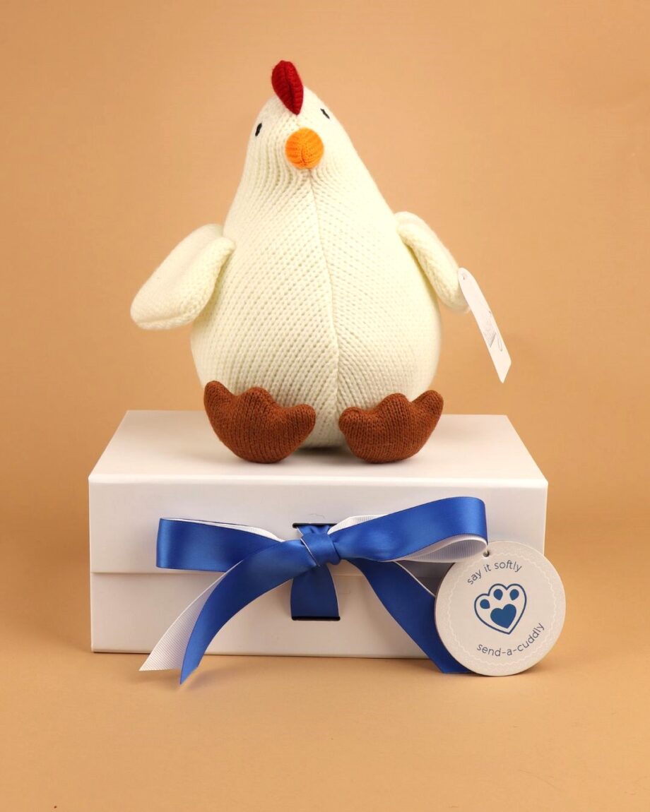Mother Hen Knitted Easter Gift
