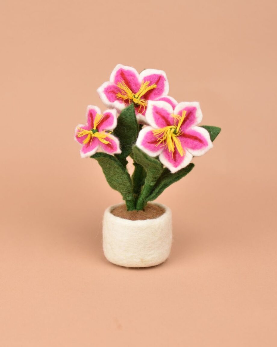 Luscious Lily Pot