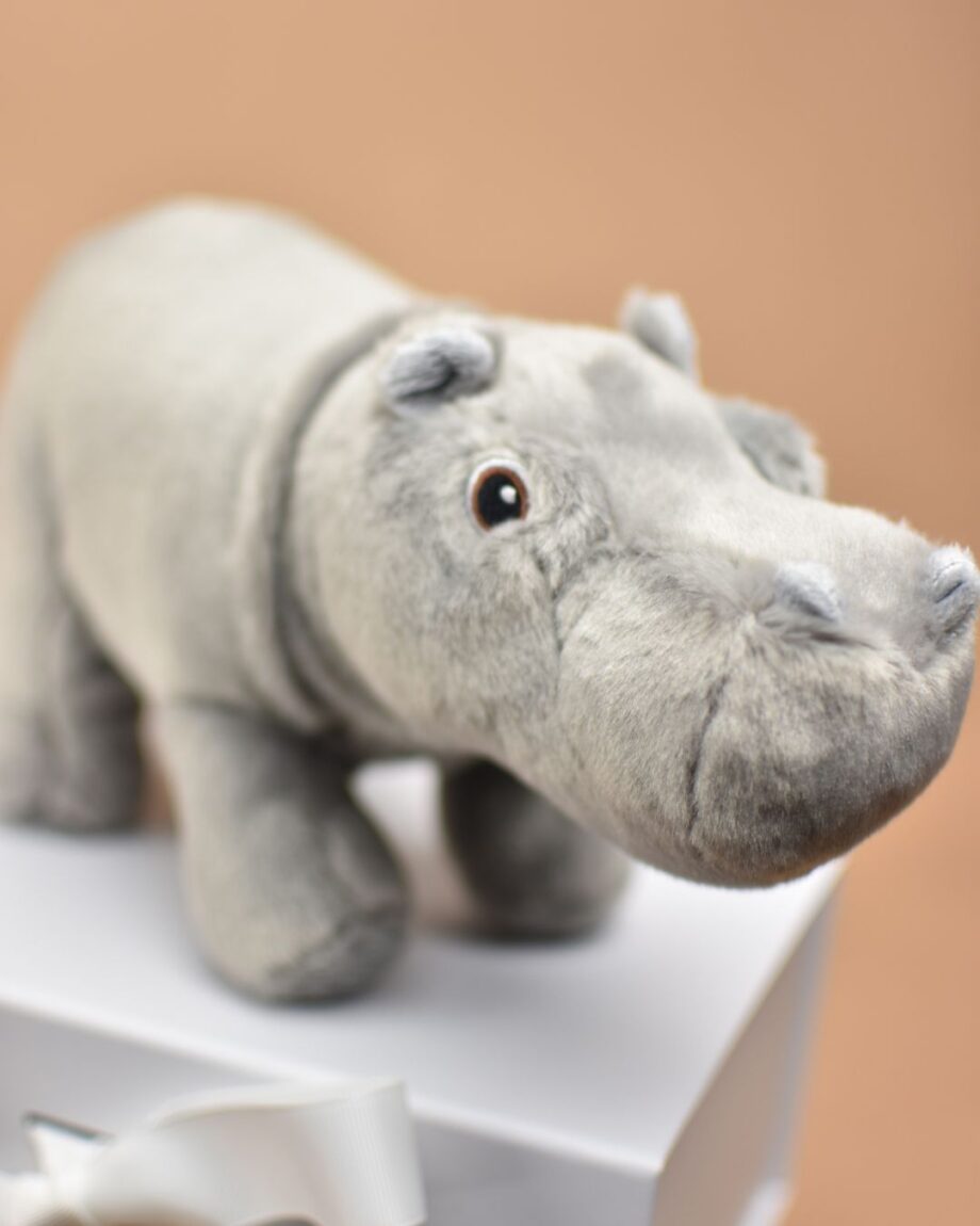 Eco Hippo Cuddly Toy - Send a Cuddly