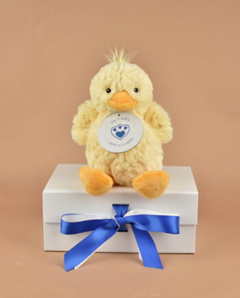 Snuggly Duck Soft Toy