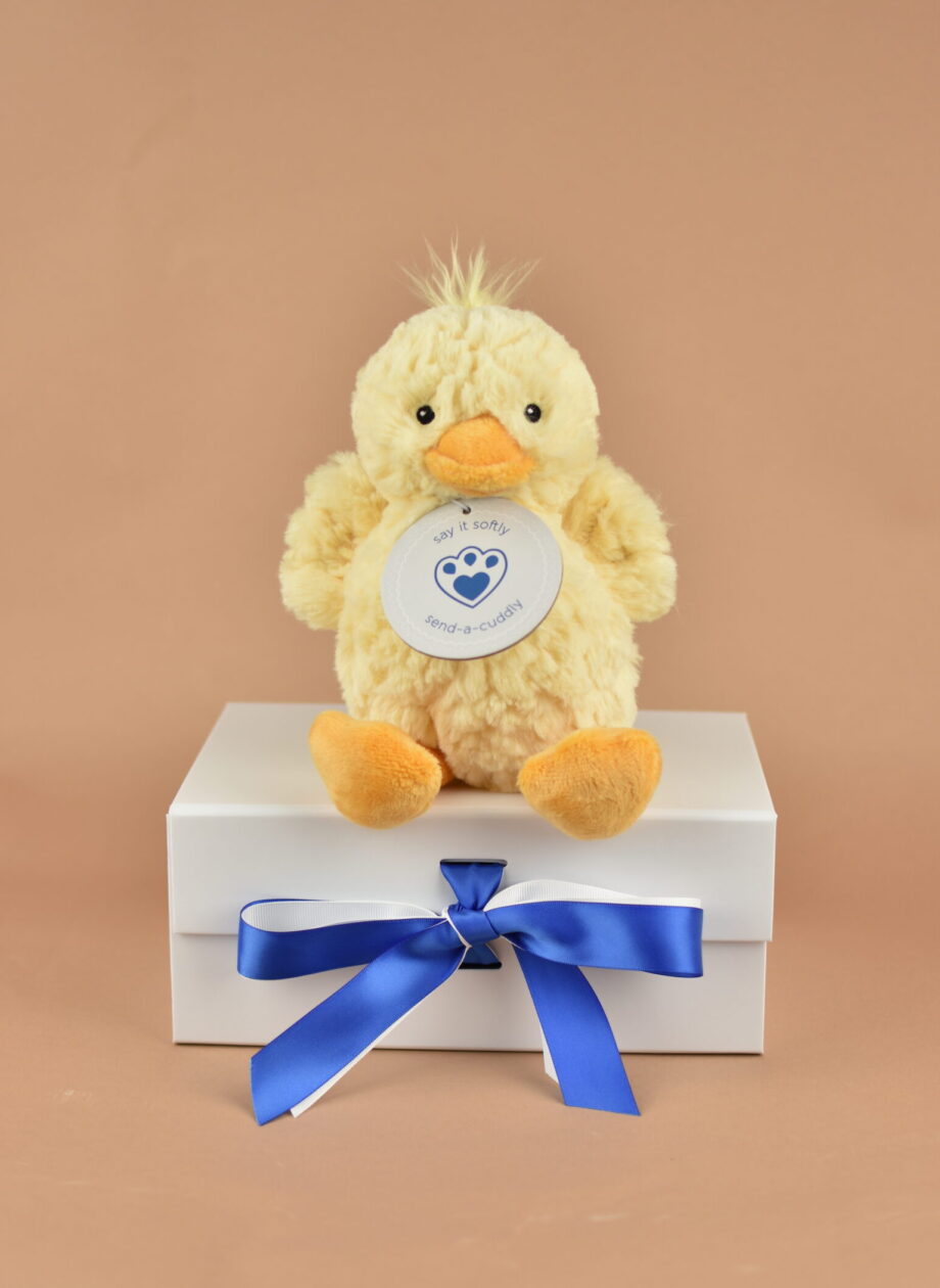 Snuggly Duck Soft Toy