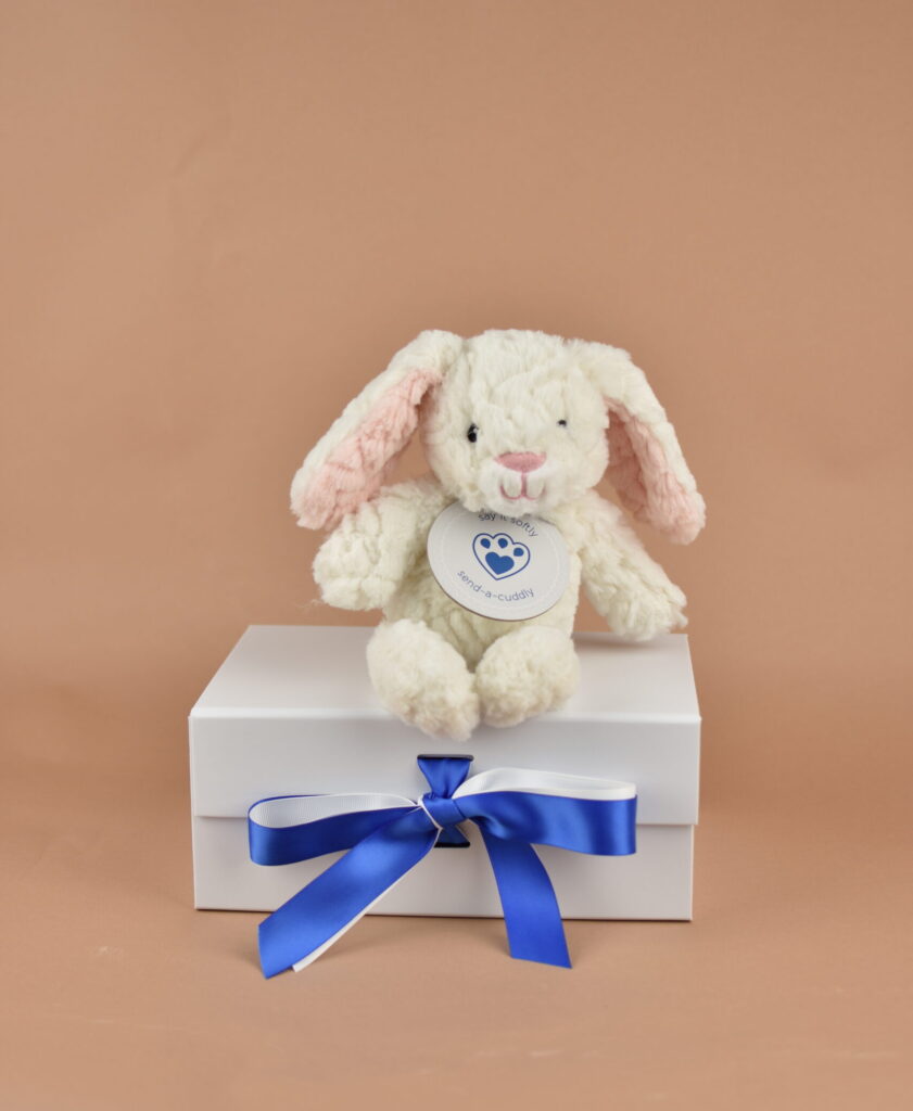 Snuggly Cream Bunny Rabbit Gift | Fast Delivery | Send a Cuddly
