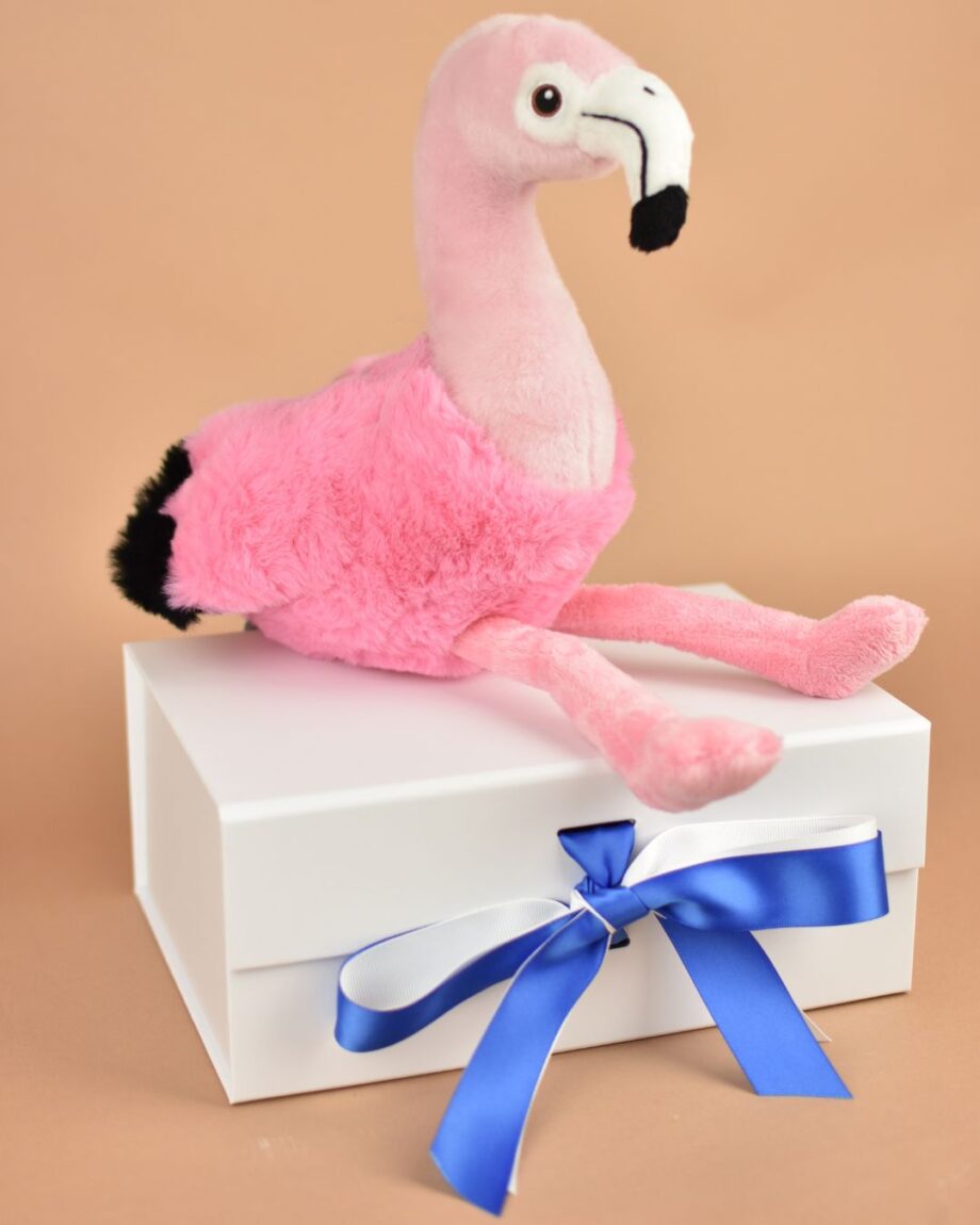 Fancy Flamingo