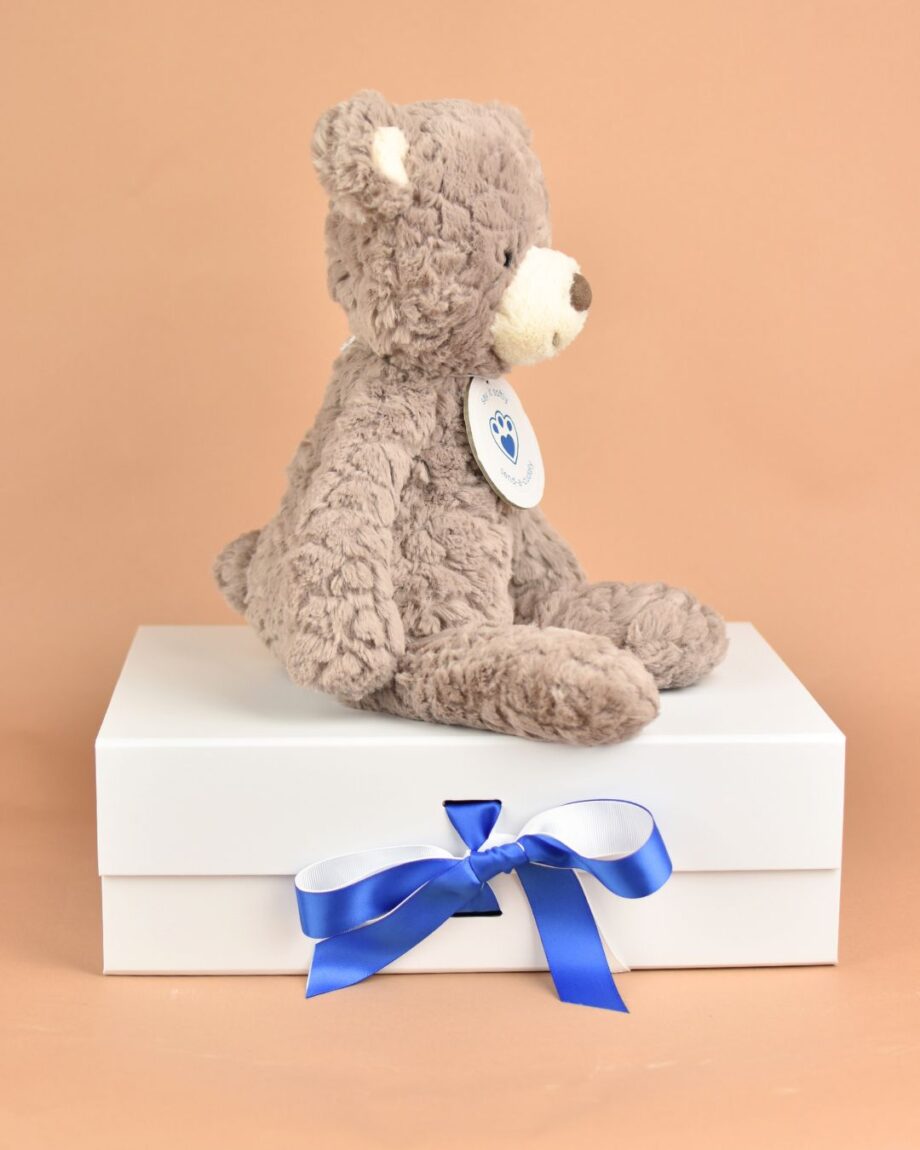 Snuggly Putty Bear