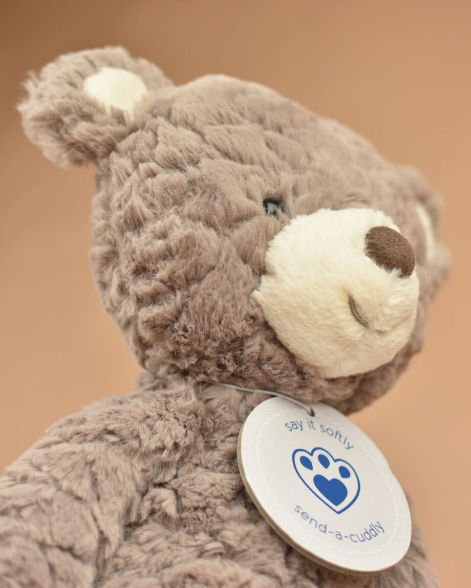 Snuggly Putty Bear