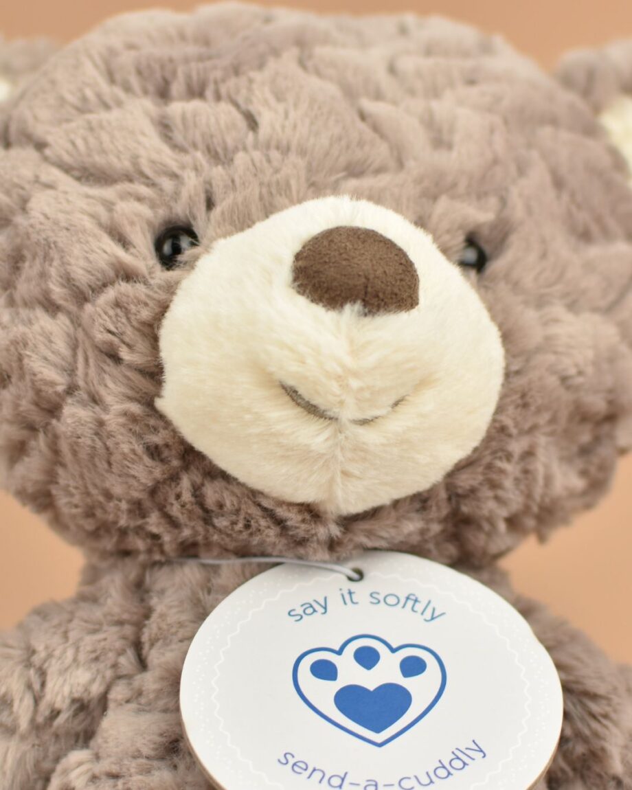 Snuggly Putty Bear