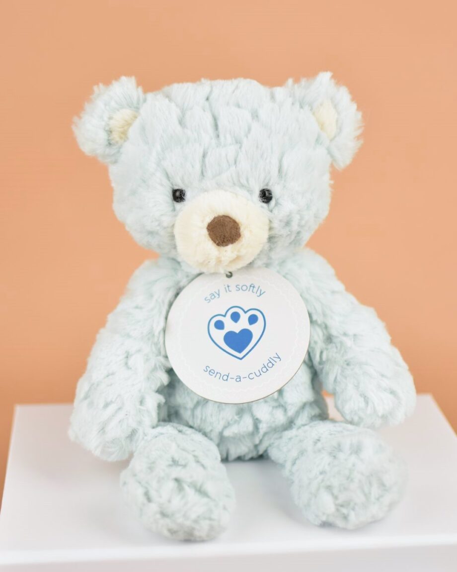 Snuggly Seafoam Bear