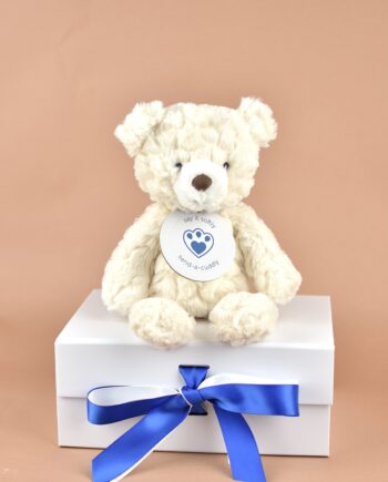 Snuggly Cream Bear