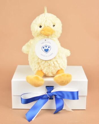 Snuggle Duck Soft Toy Send a Cuddly