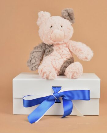 Snuggly Piglet Soft Toy
