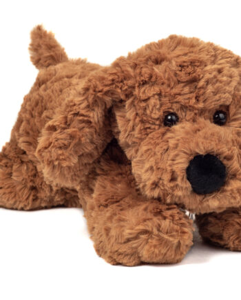 Brown Cockapoo