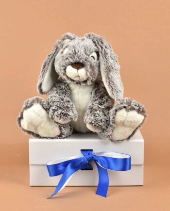 Floppy Rabbit - Send a Cuddly