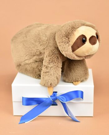 Sloth Soft Toy