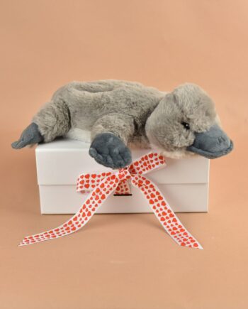 Warmies Heatable Platypus