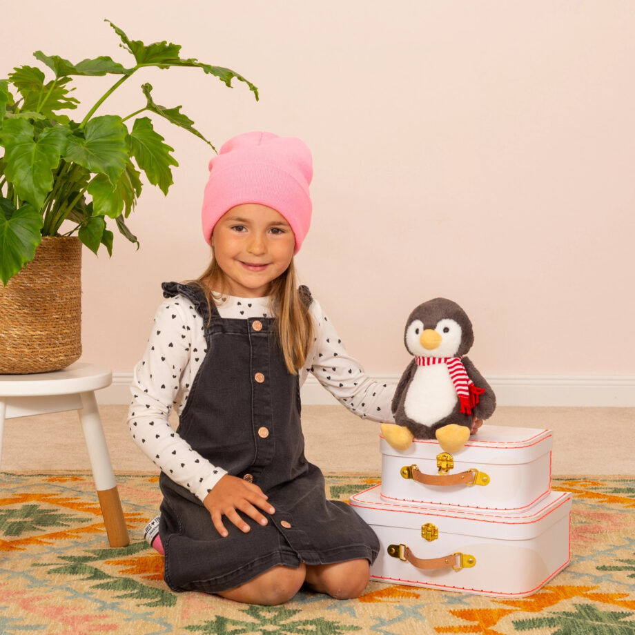 Pancho Penguin