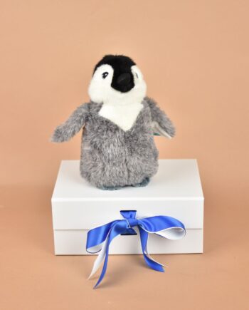 Baby Emperor Penguin soft toy - send a cuddly