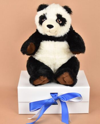 Panda Soft toy - send a cuddly