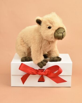 Cuddly Capybara Toy by Send a Cuddly