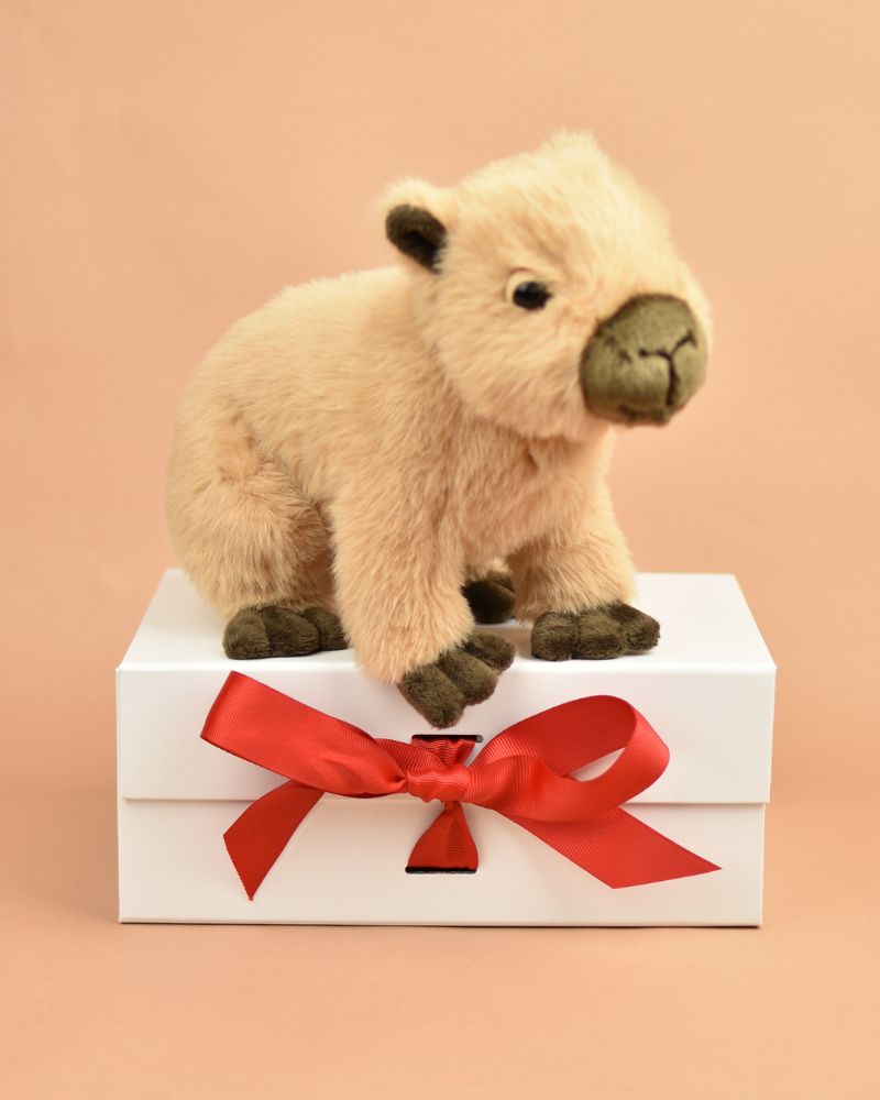 Cuddly Capybara Toy by Send a Cuddly