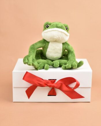 Frog Cuddly toy - Send a Cuddly