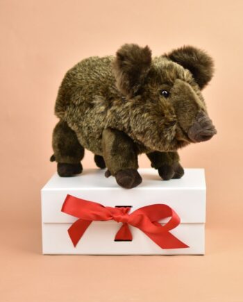Wild Boar Soft Toy - Send a Cuddly