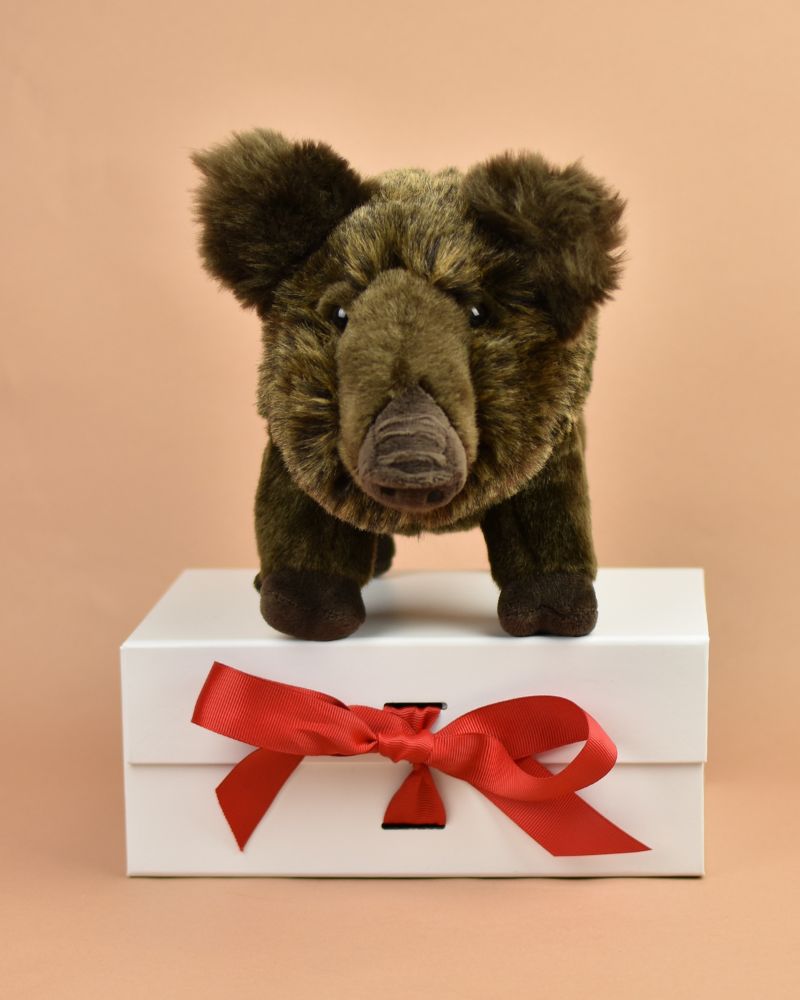 Wild Boar Soft Toy