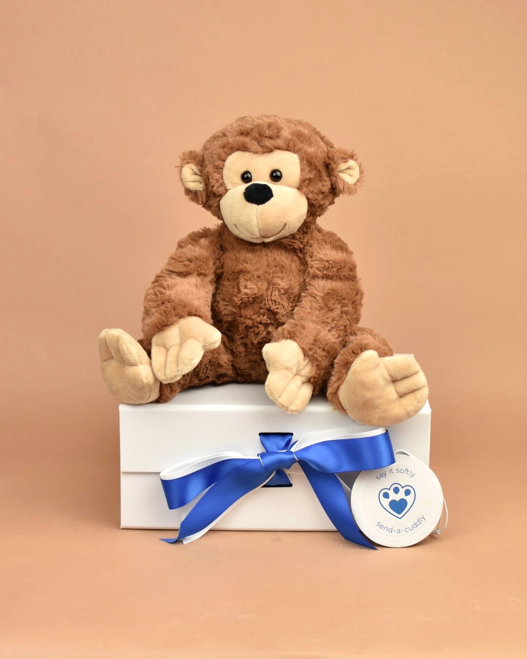 Ricky Monkey Baby Gift