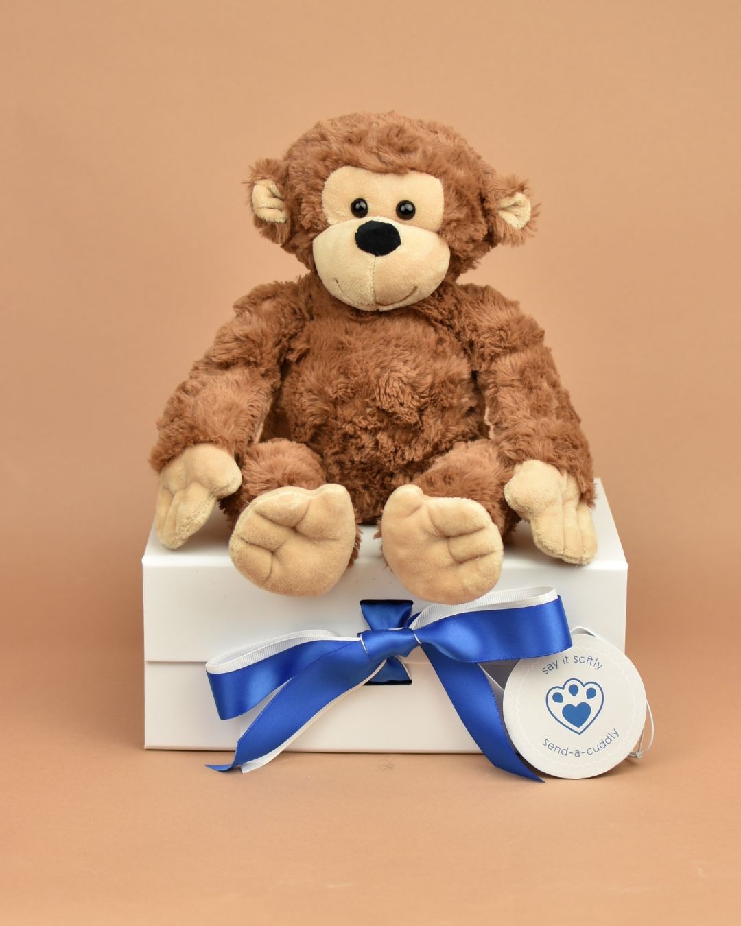 Ricky Monkey with gift box