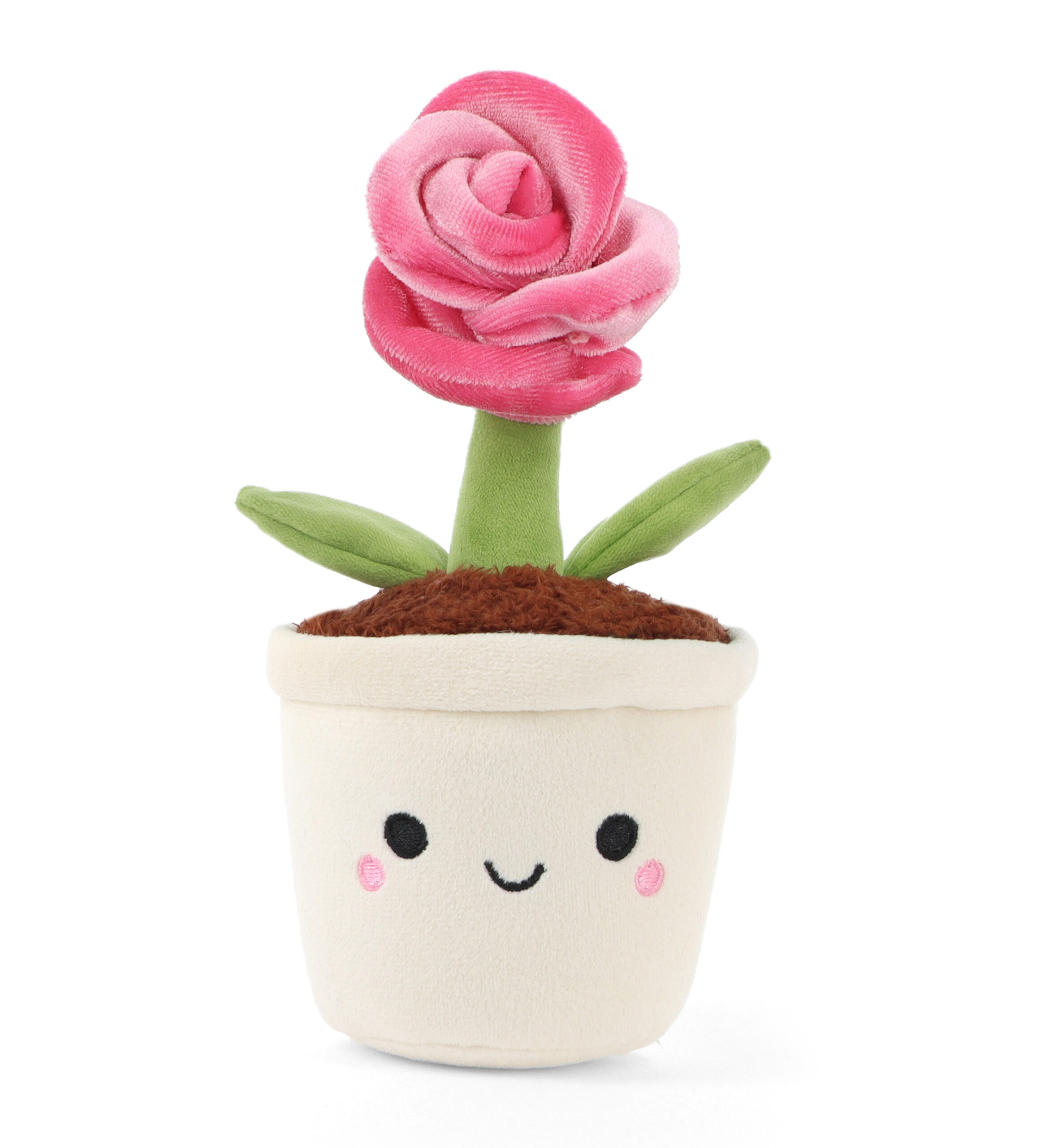 Botanical Garden Cuddly Pink Rose