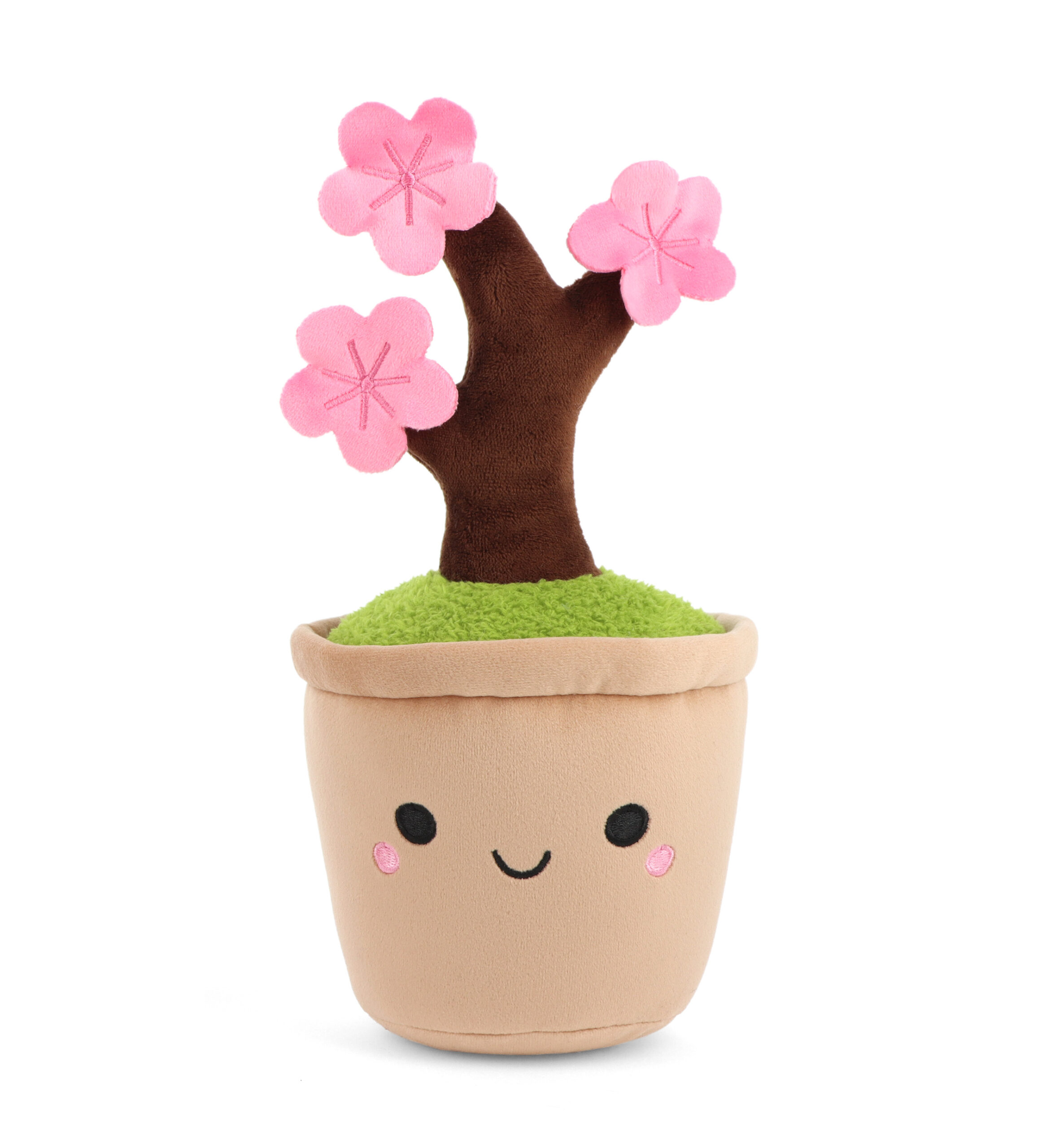 Botanical Garden Cuddly Flowering Cherry