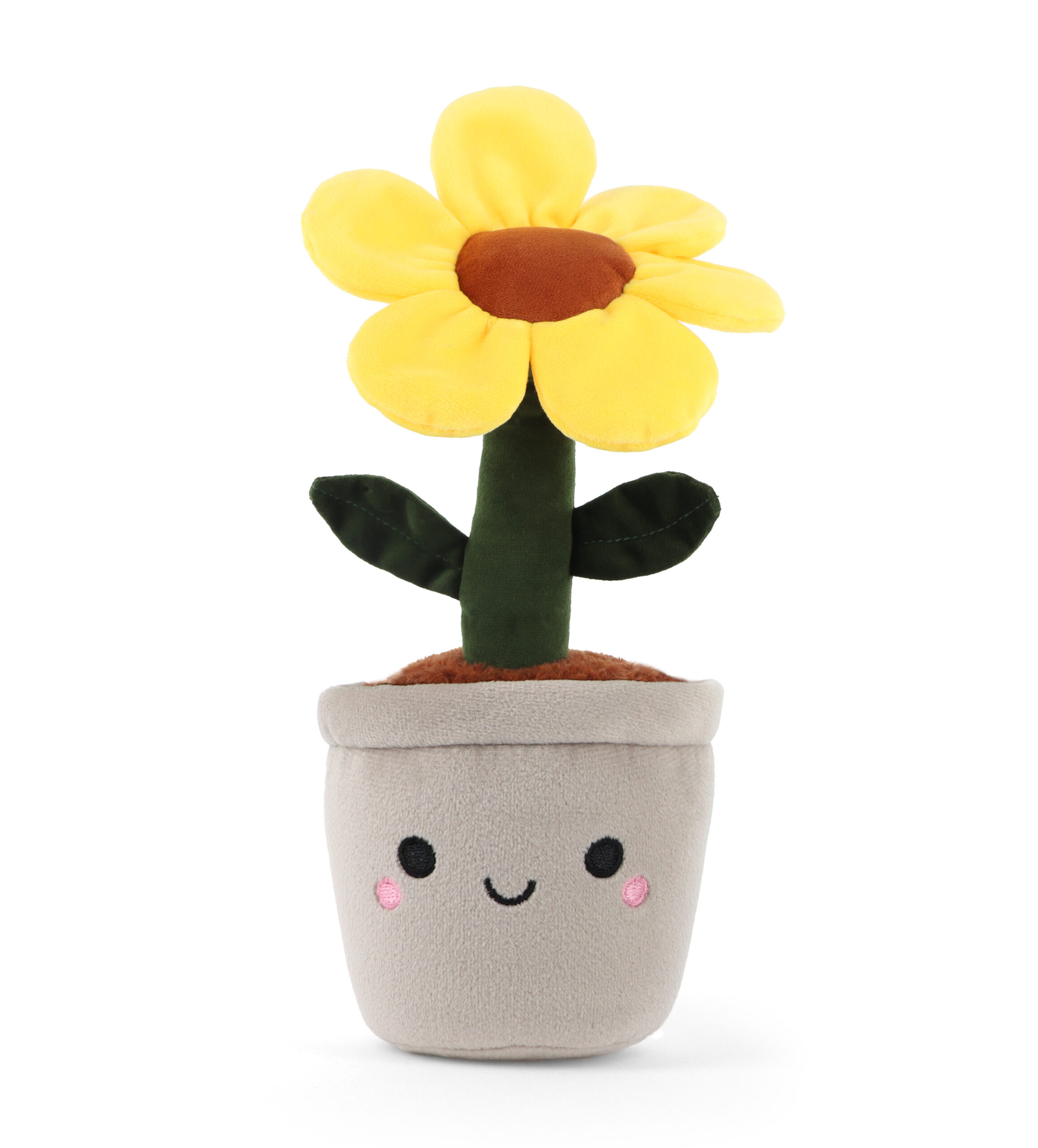 Botanical Garden Cuddly Sunflower