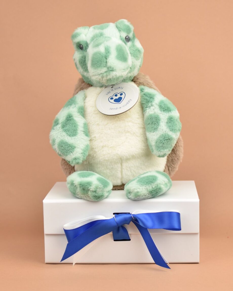 Terry Turtle Soft Toy | A Turtley Gorgeous Gift Idea- Send a Cuddly