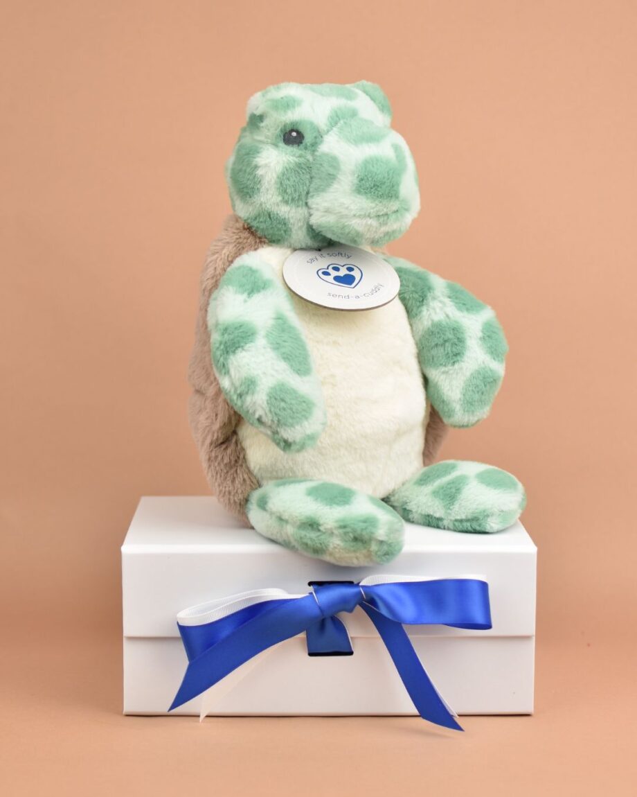 Terry Turtle Soft Toy | A Turtley Gorgeous Gift Idea- Send a Cuddly