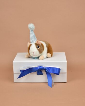Party Pig Guinea Pig with Blue Hat