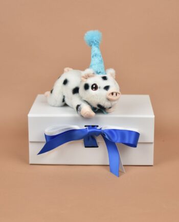 Party Pig with Blue Hat